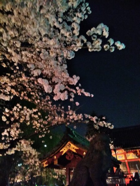 桜橋花祭り