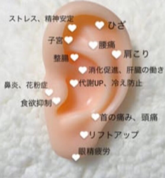 耳つぼセラピー体験